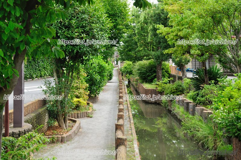 六辻水辺公園（さいたま市南区根岸付近）