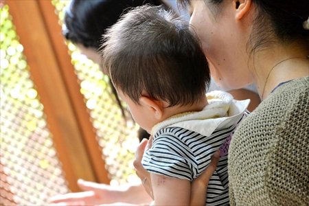 ながつたパオパオ親子