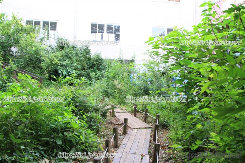 &ldquo;自然の小道&rdquo;