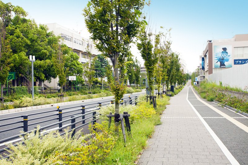 「奏の杜フォルテ」前に延びる「はばたきのみち」。電柱地中化ですっきりと美しい街並み。