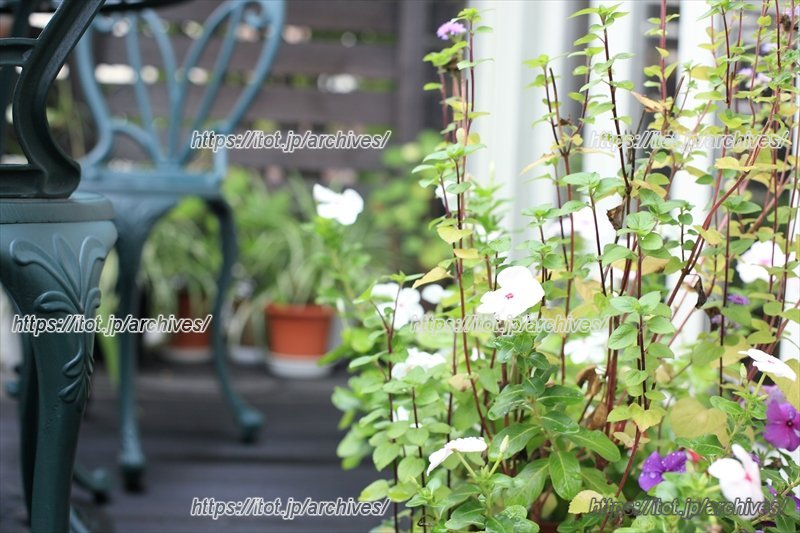 店外にはテラス席も