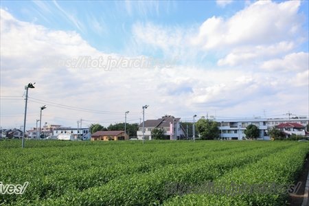 宮前サッカークラブ 畑