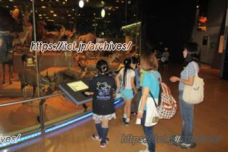 流山市立向小金小学校インタビュー