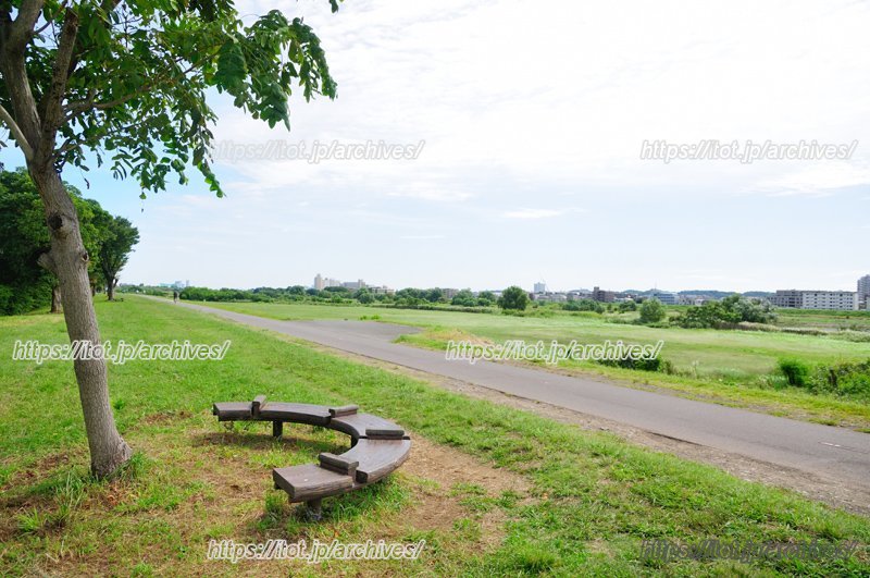 多摩川河川敷