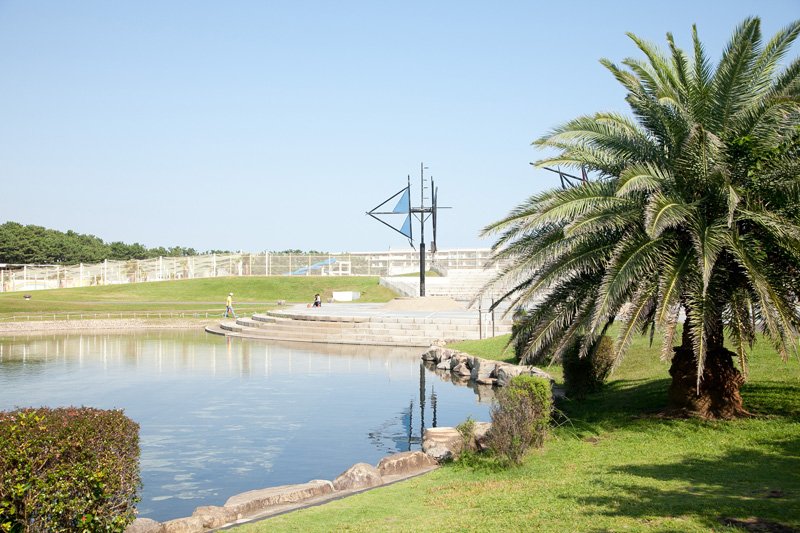 「辻堂海浜公園」をはじめ豊かな自然が身近に