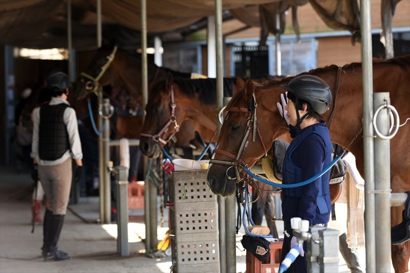 馬と心を通わせることで生まれる「無心の時間」/横浜市馬術協会 会長 武石敏勝さん