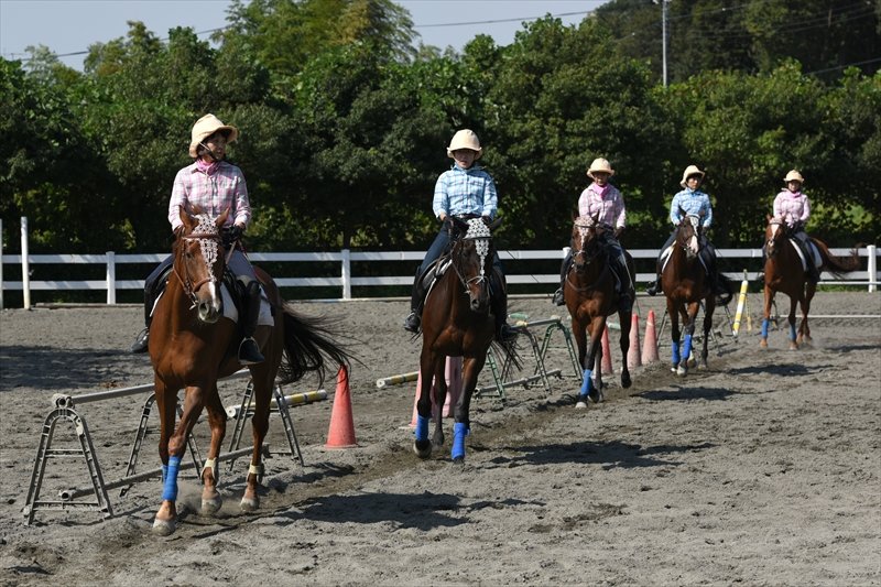 ホースショーの様子