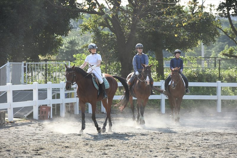 大人も子どもも一緒に楽しめる
