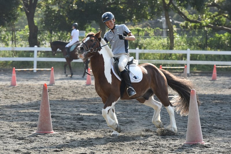 馬とともに楽しむ