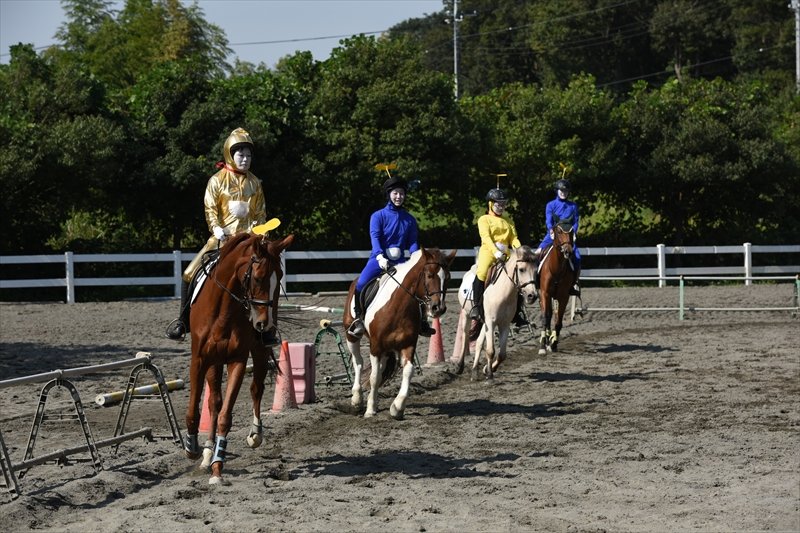 観客を楽しませるパフォーマンス