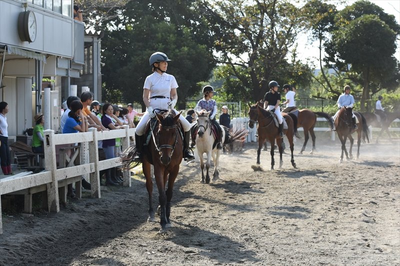 ホースショーに参加する方々と市民