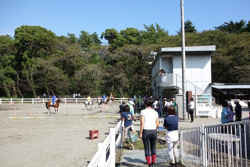 馬術練習場の様子