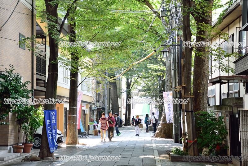 自然あふれる街並みの中で「雑司ヶ谷 手創り市」は開催される