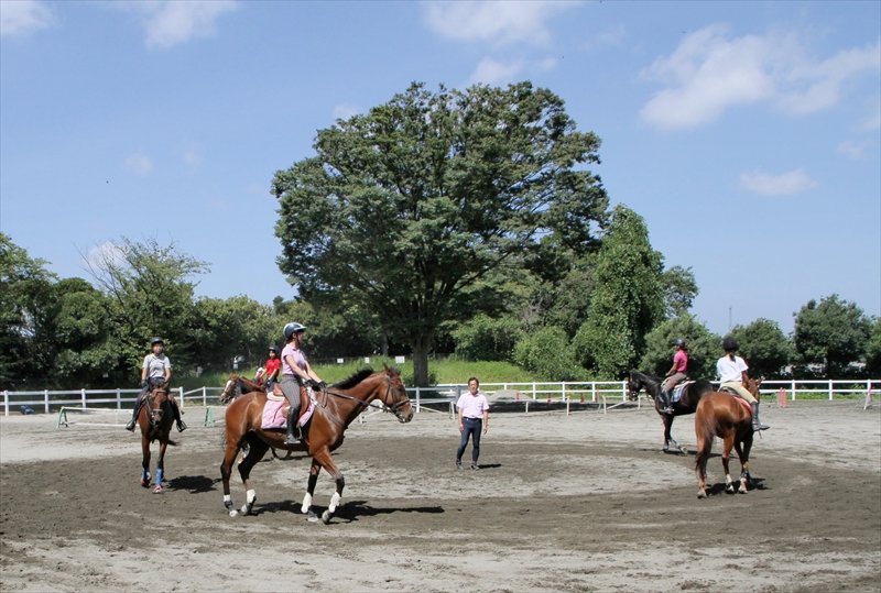 乗馬の練習風景