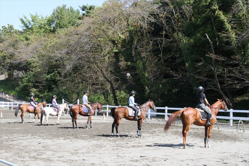乗馬の練習風景