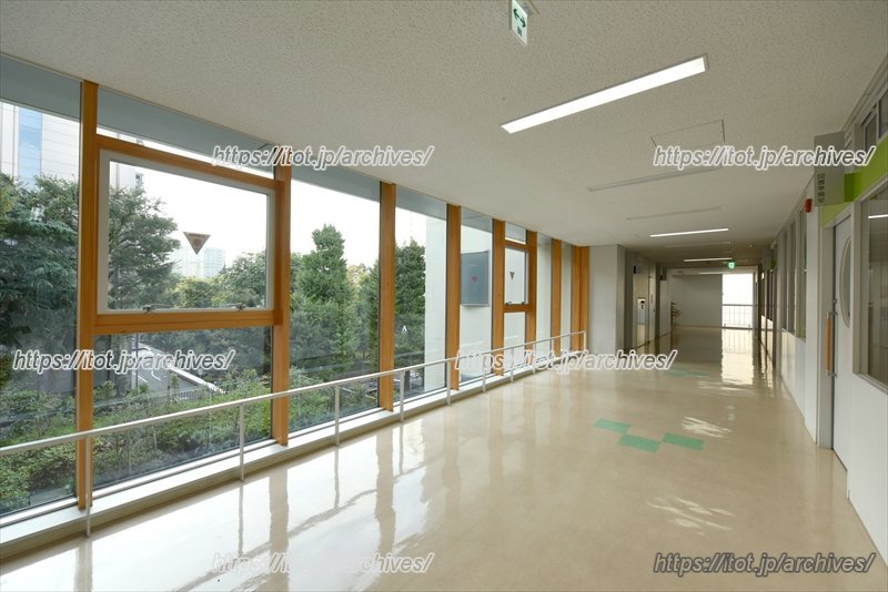 背の高い窓からは外光がたっぷりと取り入れられる。