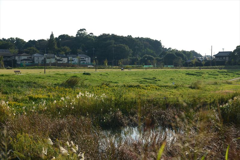 大堀川水辺公園