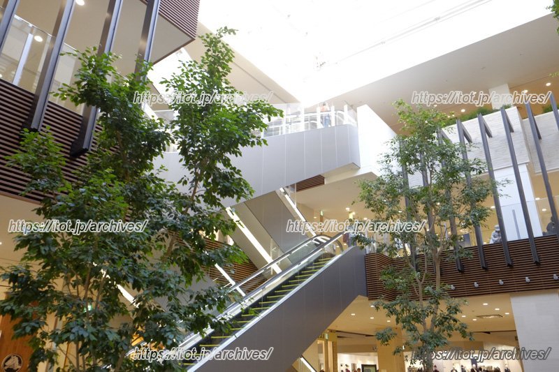 自然との調和も図られた居心地の良い空間