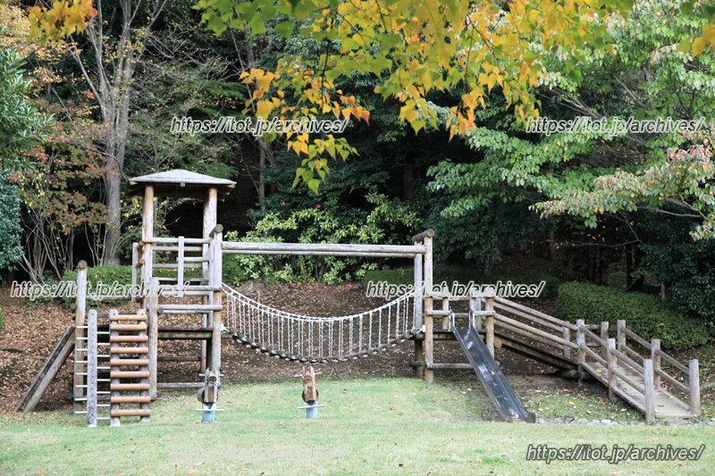 からきだの道のアスレチック