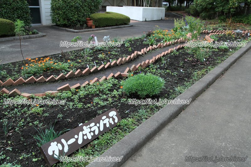 ※展覧会の提供写真?