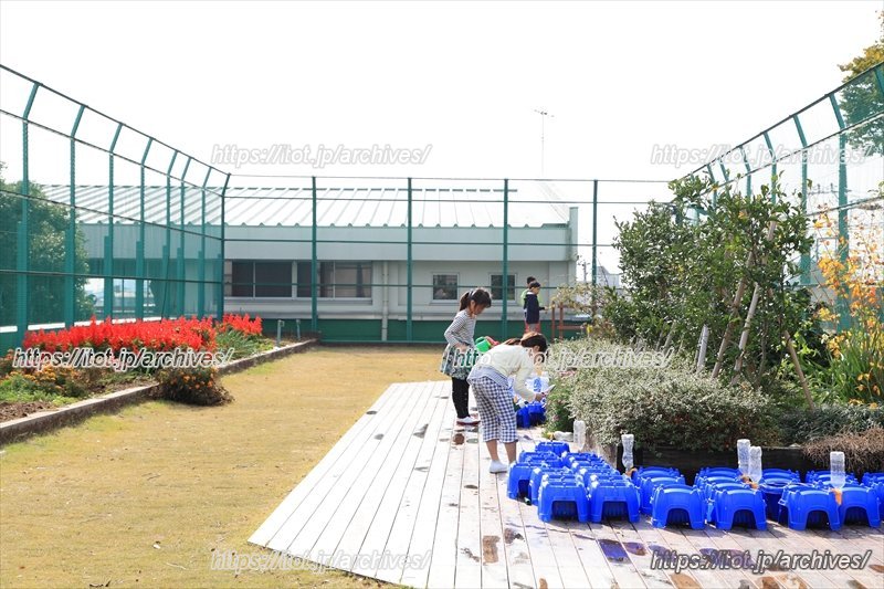 屋上の芝生広場