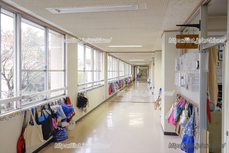 整理整頓された廊下