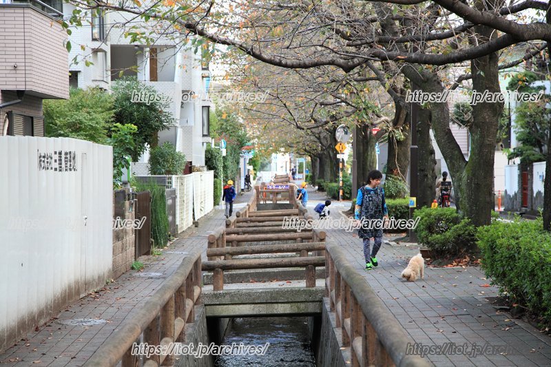 「洗足流れ」沿いの落ち着いた街並み