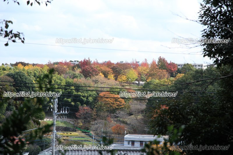 豊かな自然の広がる唐木田エリア