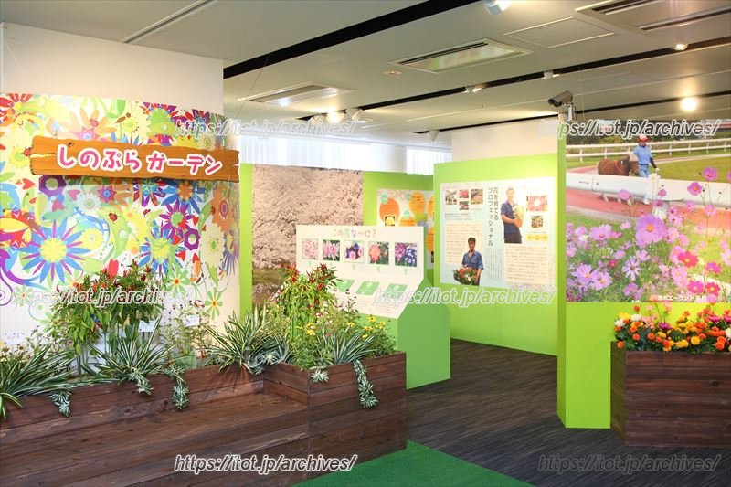 「企画展示ギャラリー」