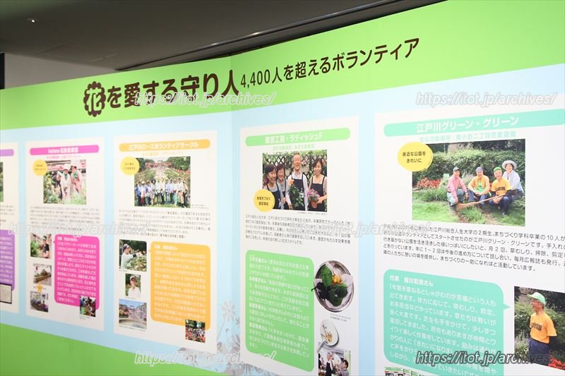 ボランティアとして活躍する卒業生も