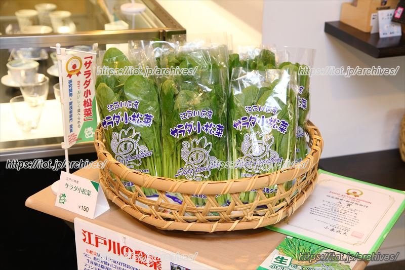 生でも食べられる「サラダ小松菜」