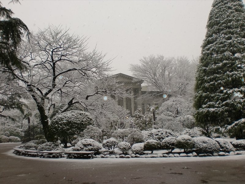 雪の日の青山学院