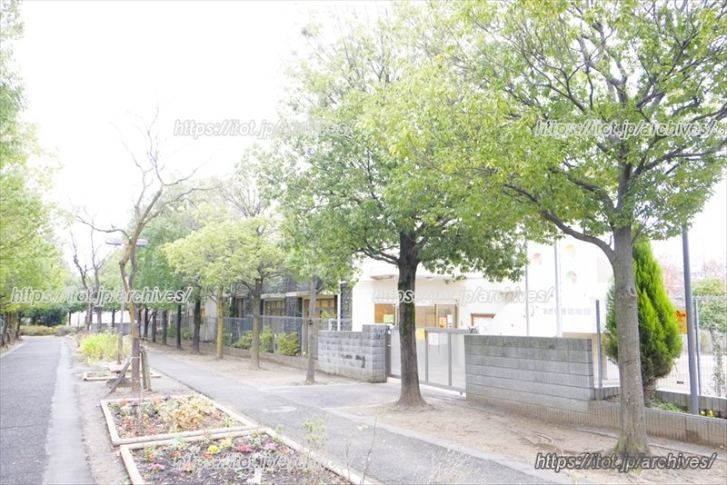 園の前の並木道