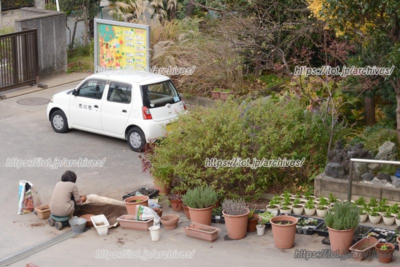 学校を植物でいっぱいに