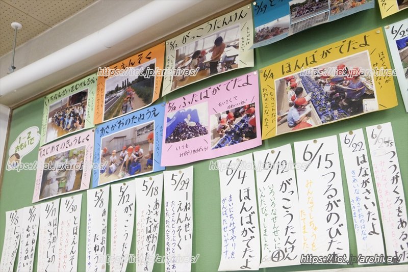 活動の様子を掲示板で紹介