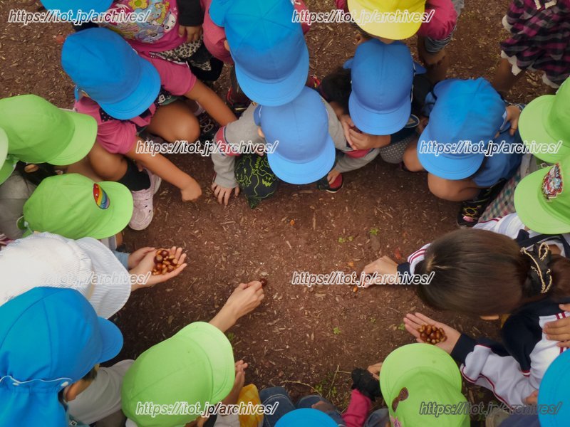 自然や環境に関する教育指導も行う