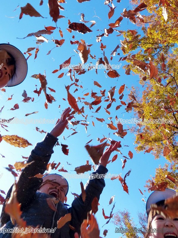 環境学習の様子