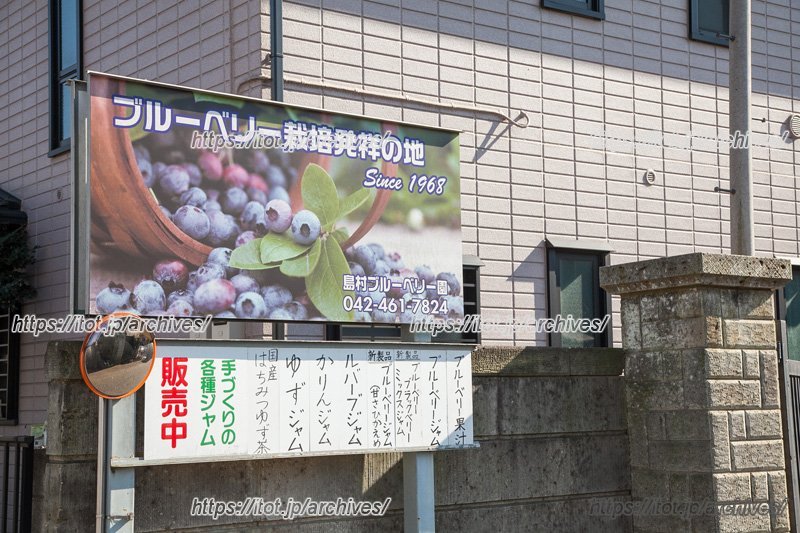 島村ブルーベリー園