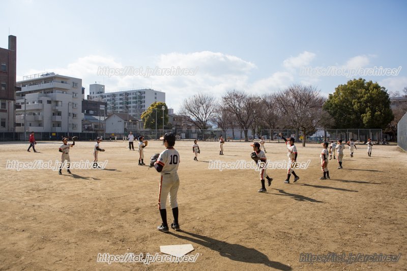学年によって複数のチームに分けられる