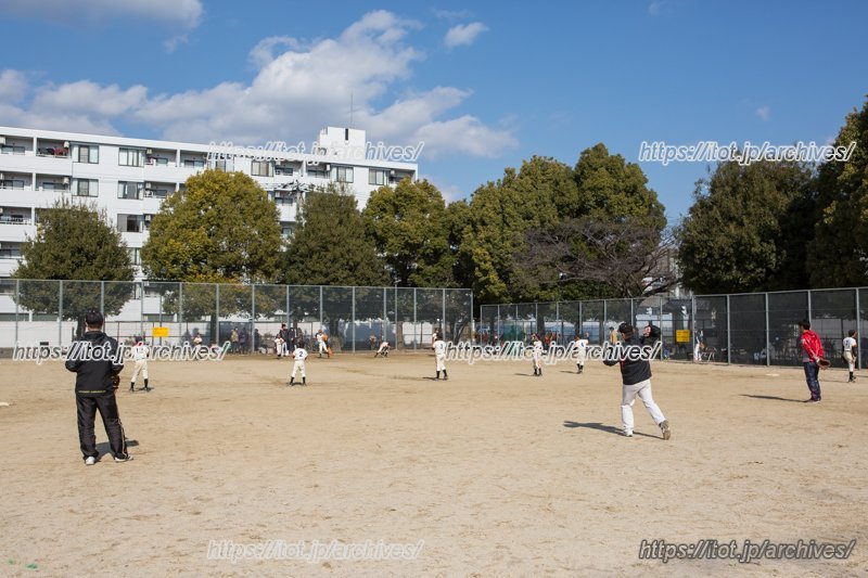 広々とした「東大丸公園」
