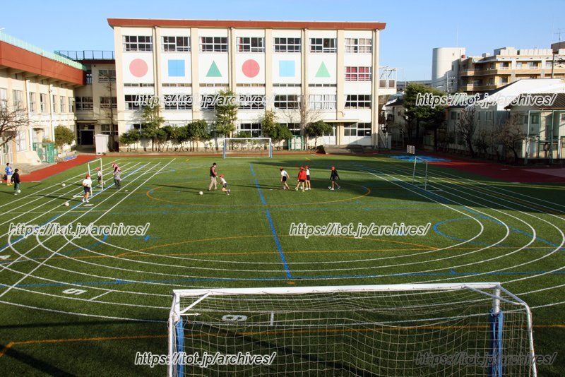 全面芝生化された校庭