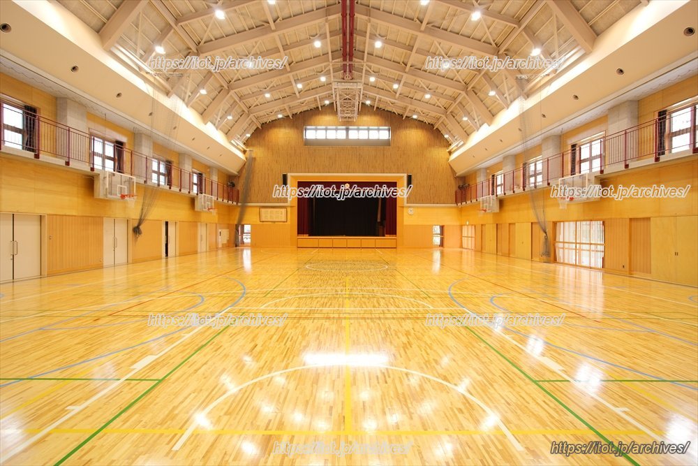 大会にも使用されているアリーナ