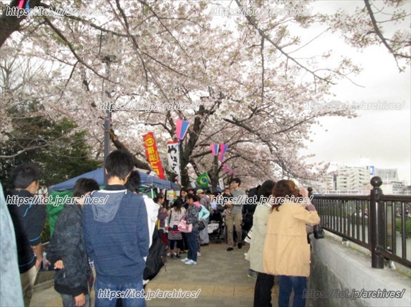 さくらまつりの様子