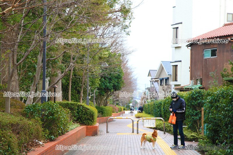 周辺は緑豊かで静かな街並み