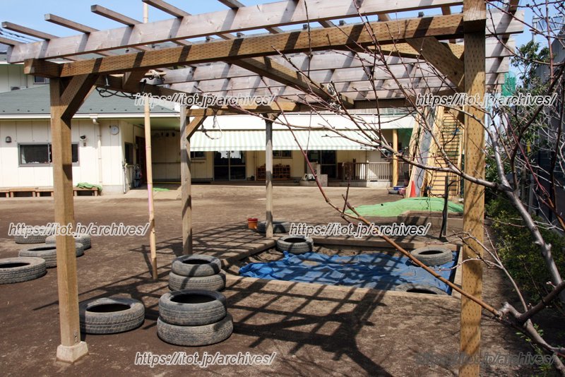 季節になるとブドウが収穫できる