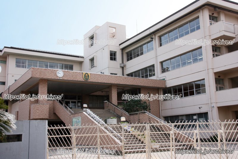 日本一のビオトープを軸にエコ教育を実践する／越谷市立大袋東小学校 中三川 勉 先生