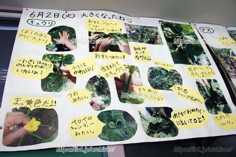 校内にはこうした環境学習に関する掲示物がたくさん