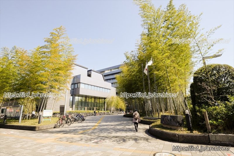緑あふれる所沢市役所