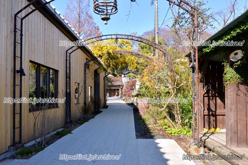 蔵元のあるべき姿として、茅ヶ崎の未来を築く中心的な存在を担っていく