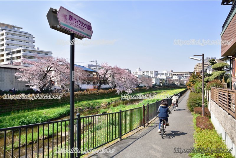 憩いの場として親しまれる「野川」